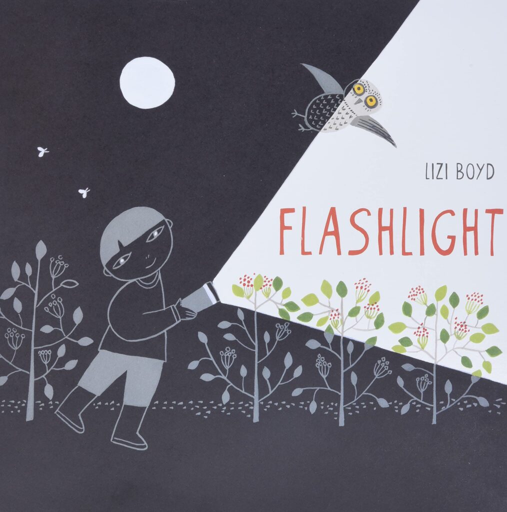 Flashlight by Lizi Boyd