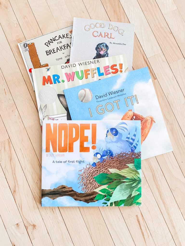 5 wordless picture books for speech evaluations