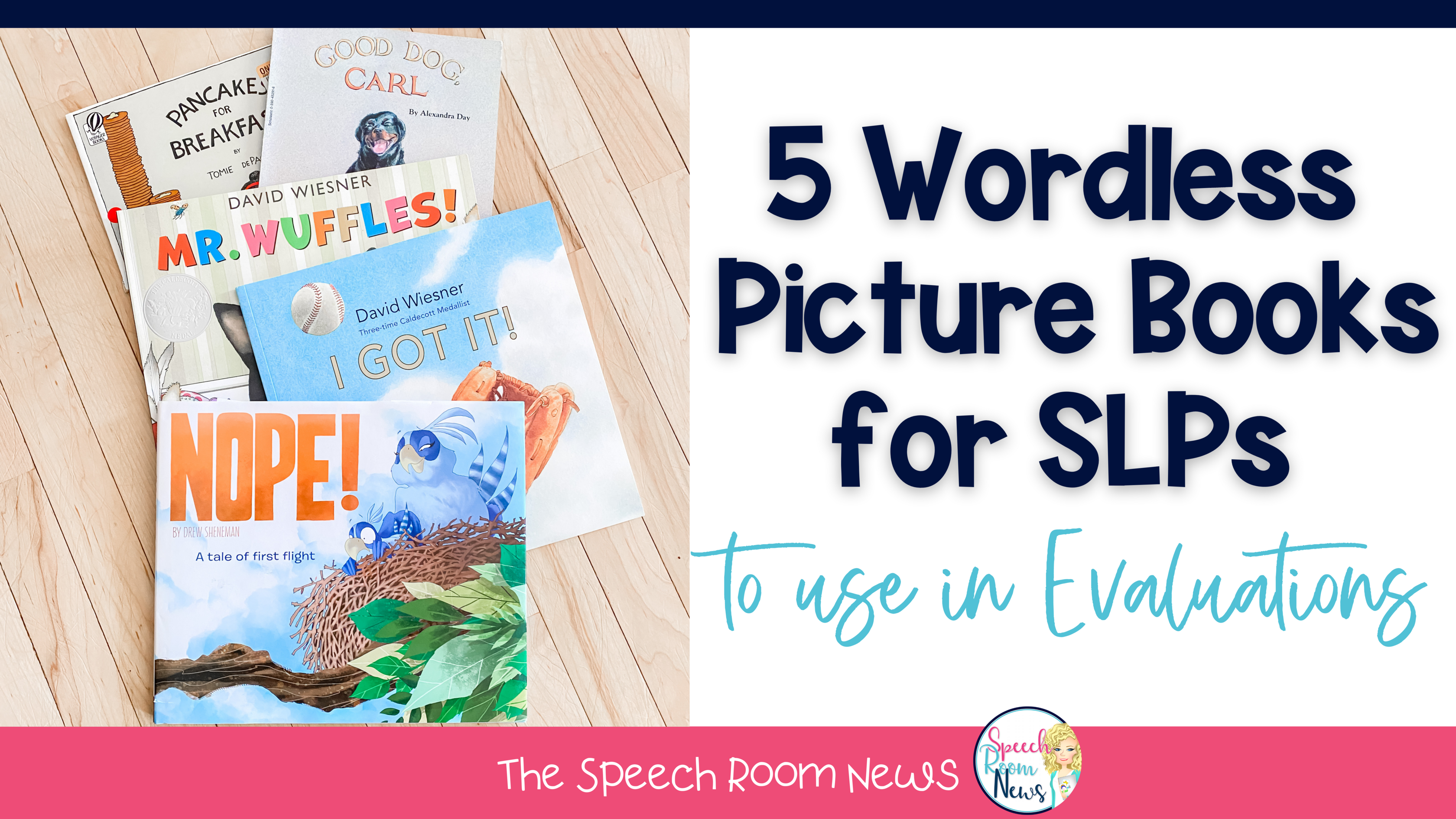 5 Wordless Picture Books for SLPs to Use in Evaluations