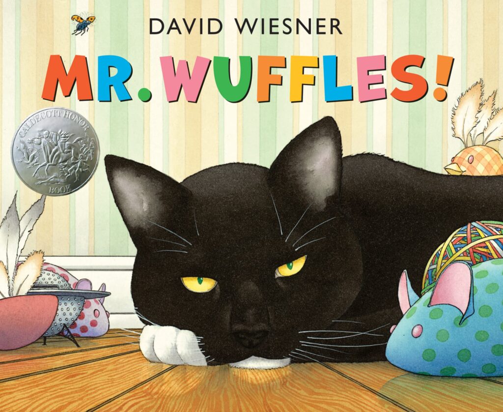 Wordless picture book-Mr. Wuffles by David Wiesner