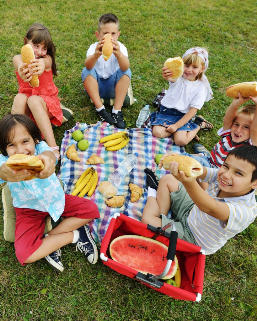 ESY speech therapy theme idea: picnic